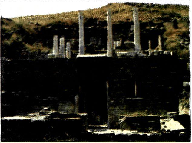 Οικία της Δήλου. Οι μεγαλύτερες οικίες είχαν εσωτερική αυλή (αίθριο), πολλά δωμάτια και δύο ορόφους.