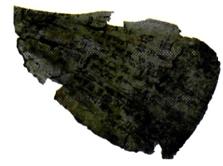 Οστό οστεομαντίας* με επιγραφές (1400-1200 π.Χ.)