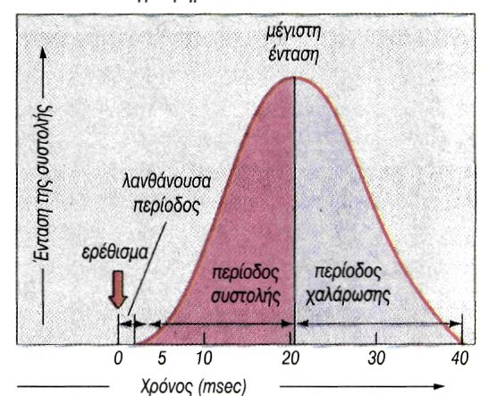 εικ. 8.7 Μυογράφημα